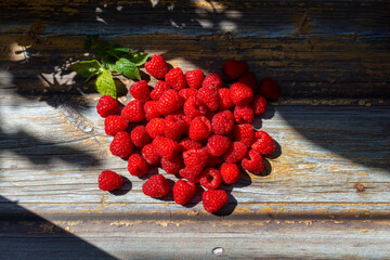 A generous pile of ripe raspberries Rubus idaeus lies on distressed wooden boards with a sprig of fresh mint. Strong sunlight and natural shadows highlight the juicy texture, vibrant color and freshne © Volha