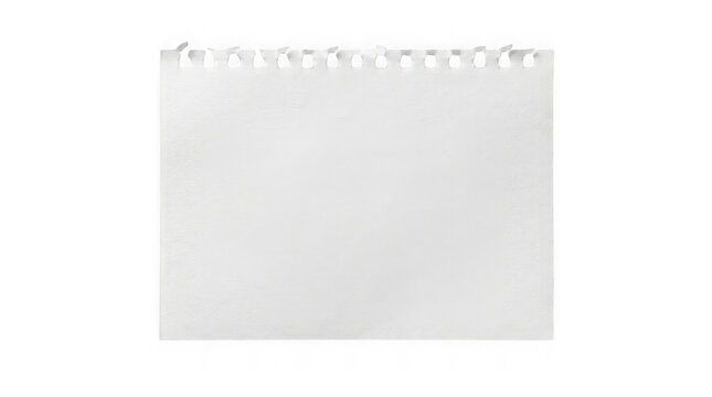 Torn white paper sheet with spiral binding edge