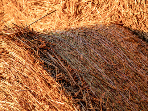 Strohrollen lagern im Freien