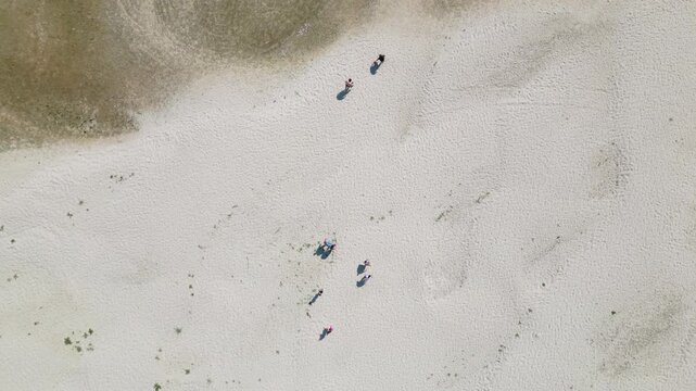 Wide aerial drone video of a group of people walking across the vastly exposed, dried up Danube riverbed near Apatin during severe summer drought and low water levels. APATIN, SERBIA - AUGUST 4, 2026