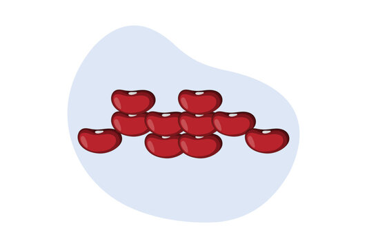Kidney Bean Concept IllustrationVector Style