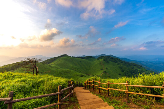 Scenic hiking trail with wooden stairs overlooking a green karst doline on the ridge of Mindungsan Mountain during golden hour, Jeongseon, South Korea.