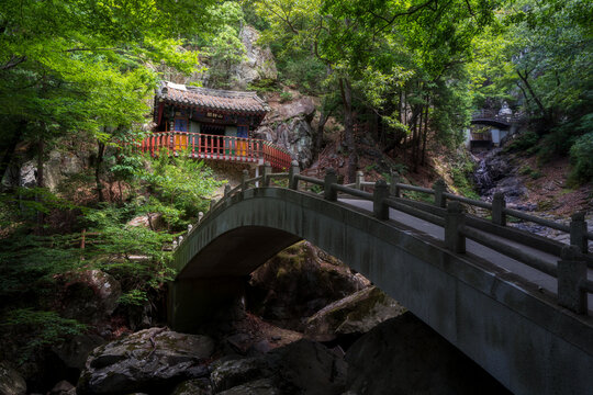 Stone arch bridge leading to a traditional Buddhist shrine hidden in the lush green forest of Hongryongsa Temple, Yangsan, South Korea.