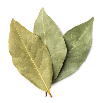 Dried bay leaves isolated on a white. Top view