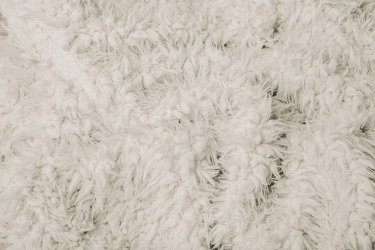White sheepskin coat texture with soft curly fur