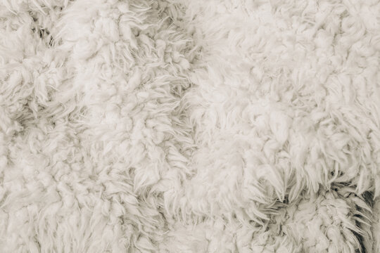 White sheepskin coat texture with soft curly fur