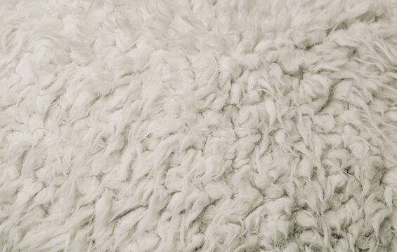 White sheepskin coat texture with soft natural fur