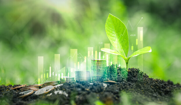 The image of a lush green tree growing from fertile soil, along with stacked coins and a transparent stock market chart, illustrates sustainable investing, the green economy, ESG finance, and financia