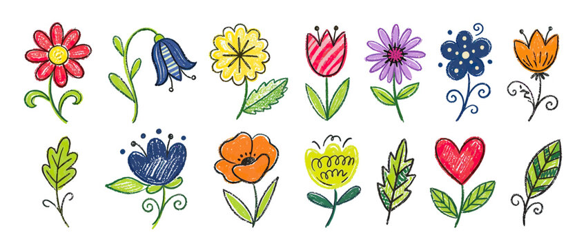 Collection of hand-drawn floral elements and leaves