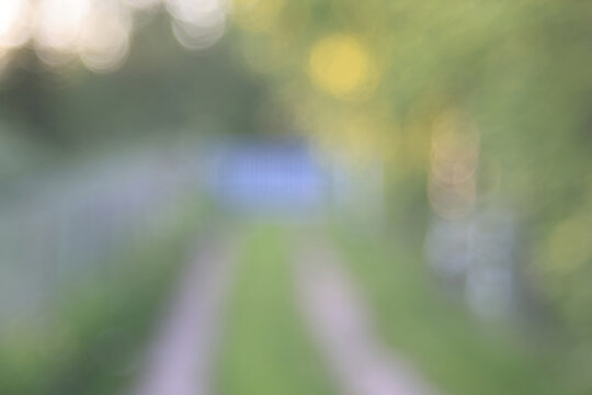 Blurred green background, gradient and summer bokeh, delicate soft color, blank form