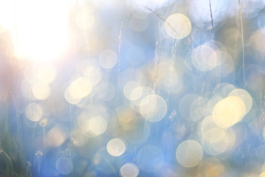 Summer vibe, golden bokeh on an abstract blurred background, softcolor nature