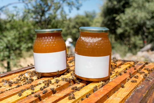 Honey jar on beehive frame with Apis mellifera iberiensis