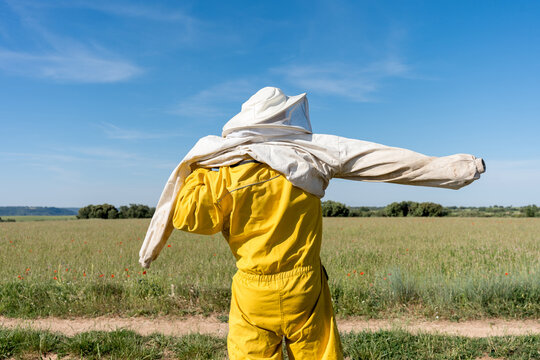Beekeeper put on protective suit in sainfoin field