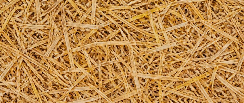 Close up of haystack background