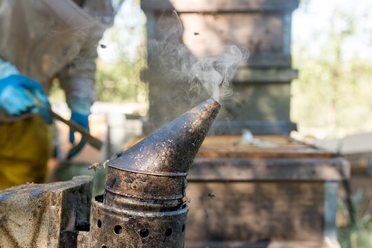 Traditional beekeeper smoker beside Layens hives in a rural apiary