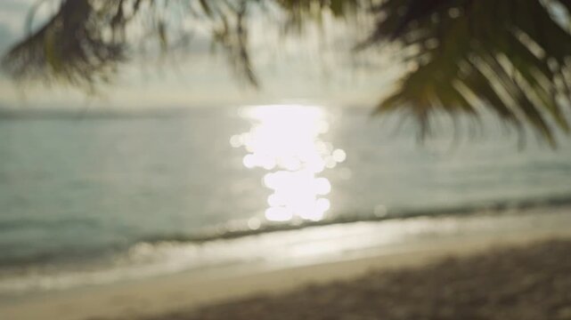 Tropical Beach Scenery with Hanging Palm Leaves and Glittering Sea Bokeh