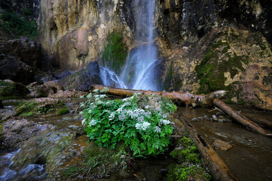 Pisoaia Waterfall in the Apuseni Mountains. Photographed with long exposure time.