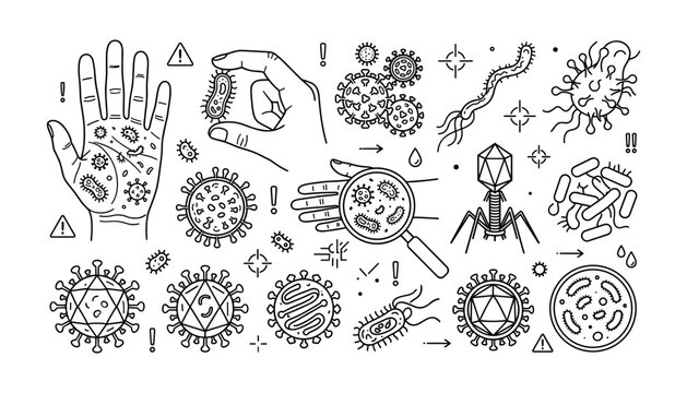 Viruses and Bacteria Are Shown in a Detailed Vector Illustration, Highlighting Common Infection.