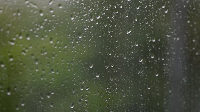 Raindrops falling down a window pane during a storm Heavy rain on glass surface with nature background blurry green