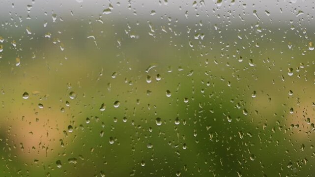 Raindrops falling down a window pane during a storm Heavy rain on glass surface with background blurry green nature