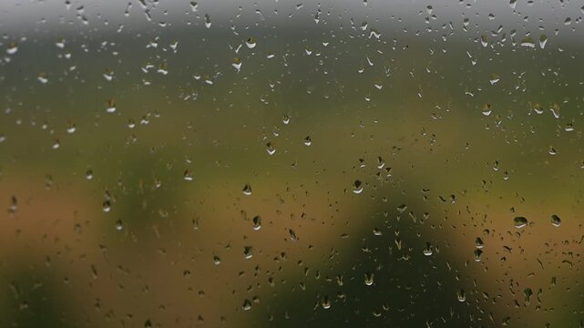 Raindrops falling down a window pane during a storm Heavy rain on glass surface with green blurry background nature