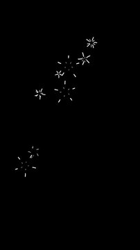 White Sparkle Bursts Isolated Animation,Twinkling Star Explosion Alpha Channel Loopable Celebration Overlay Vertical Social Media Motion Design Element
