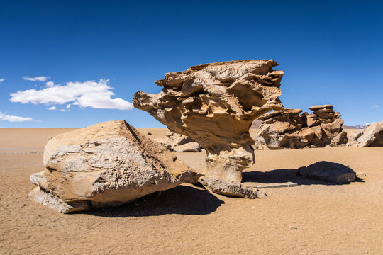 Rock tree formation in Bolivia desert landscape