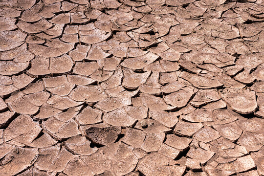 Cracked earth texture in bolivia's remote Andean wilderness