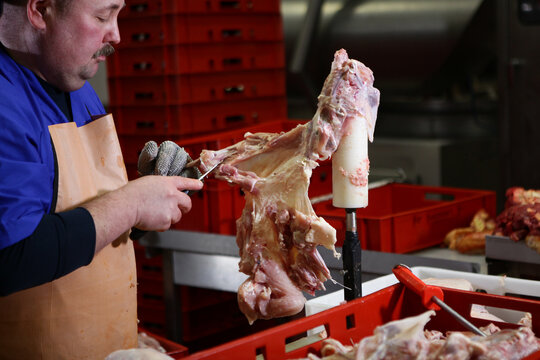 A butcher cuts up chicken carcasses. Lean meat. Working in a meat processing plant. A healthy dietary product. Meat processing business concept
