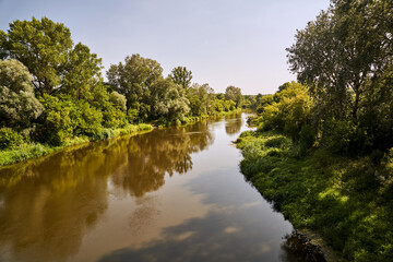 Fototapeta premium Bushes and trees on the banks of the Warta River during summer