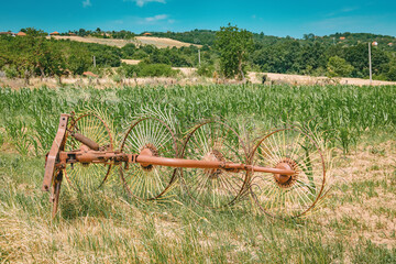 Obraz premium Sun-bleached vintage hay rake with rust-toned wheels rests beside a lush green cornfield on a bright summer day. Rural farming concept.