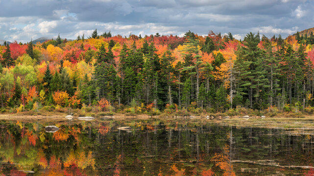 Lily Pond on the Kancamagus scenic highway in Autumn - New Hampshire