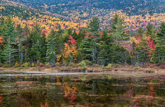 Lily Pond on the Kancamagus scenic highway in Autumn - New Hampshire