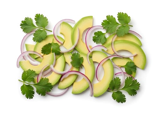 Fresh cilantro and green chili leaves illustration