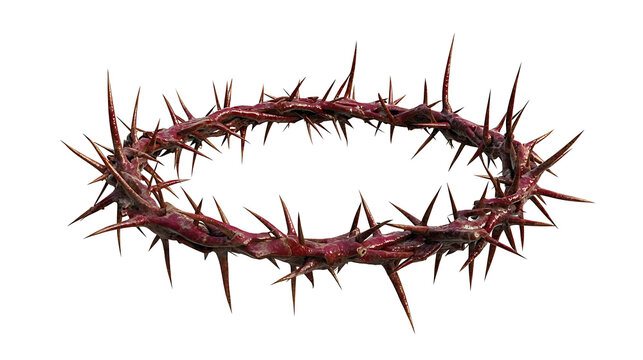 Crown of thorns on white background. Holy week religious symbol concept. Passion of Jesus traditional object for Easter Sunday and Good Friday design background