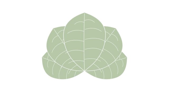 Green leaf lotus emblem vector illustration isolated on white background for eco friendly organic nature logo