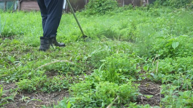 草刈り機で草を刈る男性