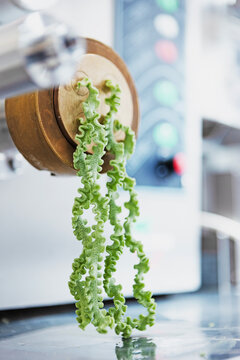 Process of making fresh green pasta. The corrugated paste comes out of the pasta machine. Natural dyes. The concept of healthy eating and home cooking
