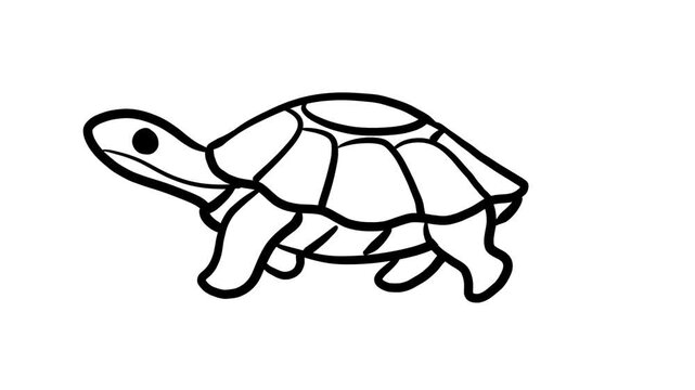 Cute cartoon turtle walking animation loop. Hand drawn black outline line art vector