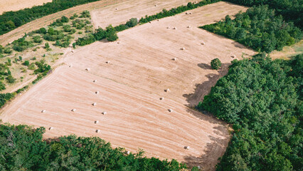 Obraz premium Aerial view showing harvested agricultural fields dotted with straw bales, bordered by green forest trees under natural light