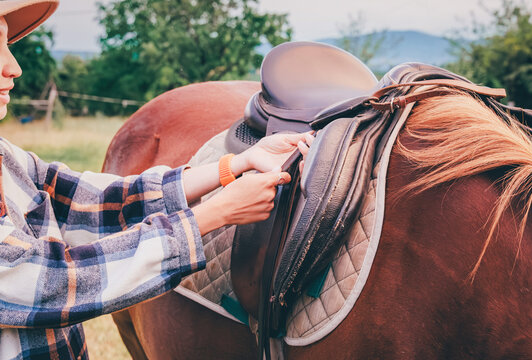 Young woman adjusting leather saddle on chestnut horse outdoors before a ride.