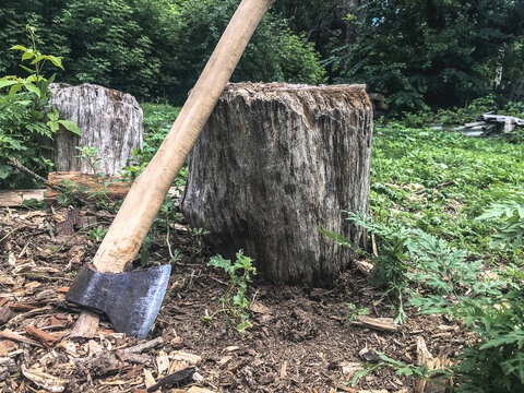 Old axe leaning against a tree stump in the forest