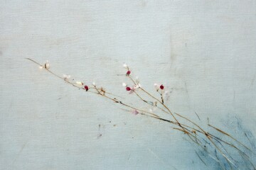 Fototapeta premium Minimal floral branches on soft textured pastel background