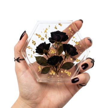 Hand holding hexagonal resin craft with black roses. Gothic floral isolated.