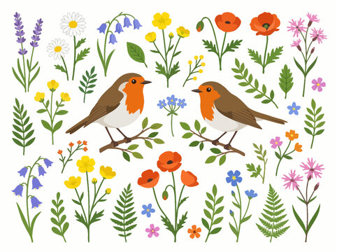 Two European robins perched among a collection of colorful wildflowers and green foliage.