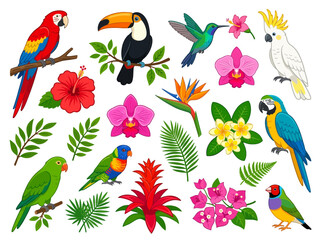 Fototapeta premium Collection of colorful tropical birds and exotic flowers.