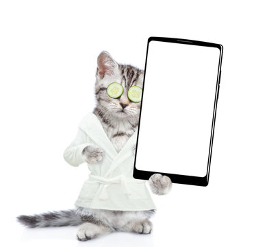 Funny kitten with slices of cucumber on it eyes wearing bathrobe standing on hind legs at bathroom and showing big smartphone with blank screen in it paw. Isolated on white