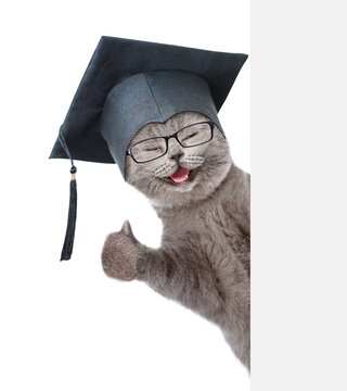 Happy cat with black graduation cap and eyeglasses looking from behind blank white banner. isolated on white background