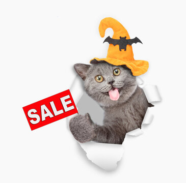Funny cat with tongie out wearing hat for halloween looks through a hole in white paper and shows signboard with labeled "sale"