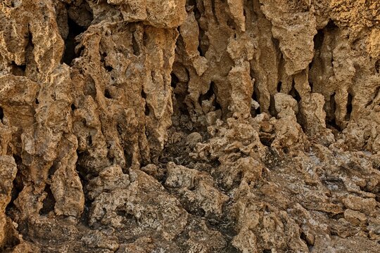 Detailed full frame background photo of porous limestone cliff surface showing small cave-like hollows, flowstone pillars, and rough mineral textures. Warm golden lighting highlights organic depth and